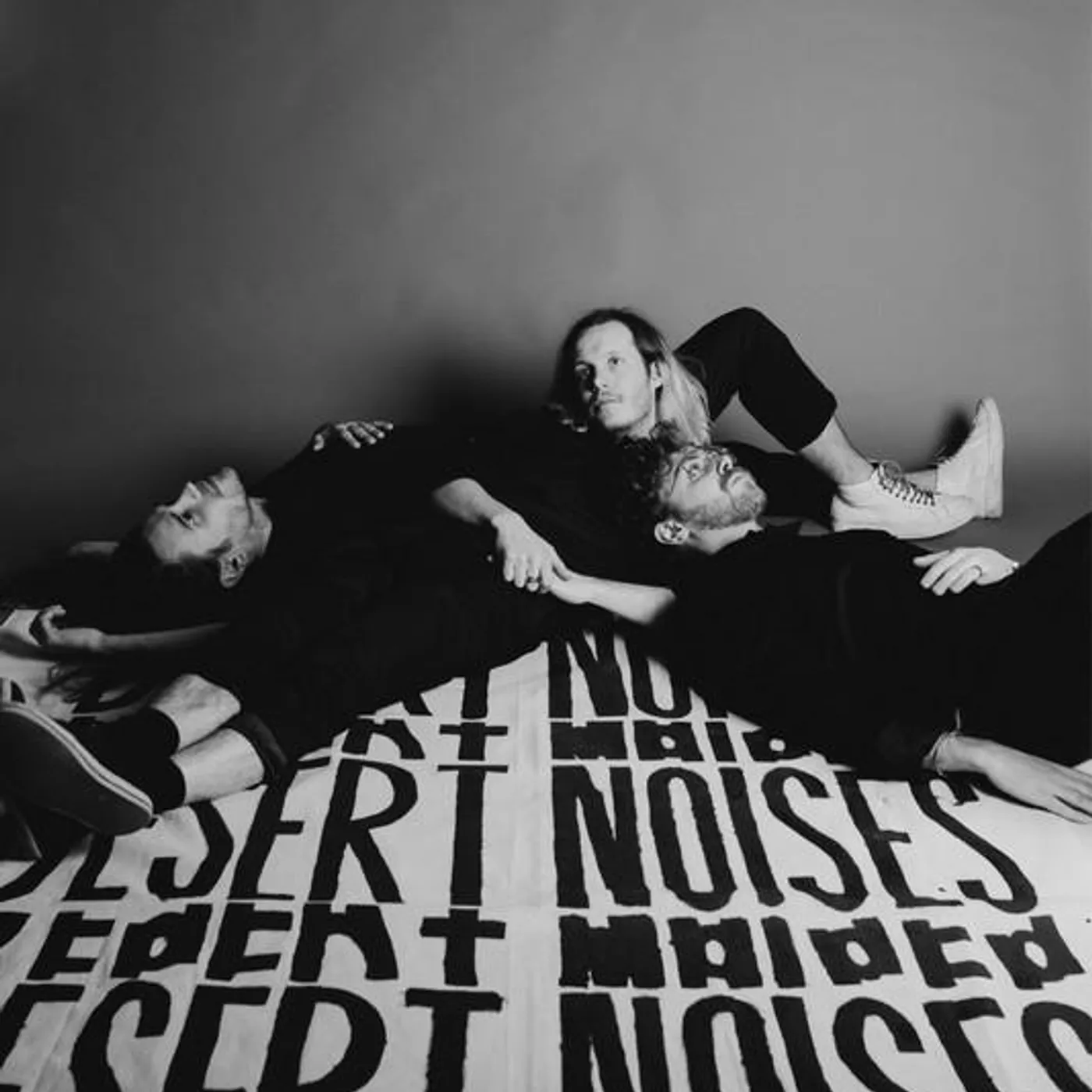 Desert Noises Brand Page