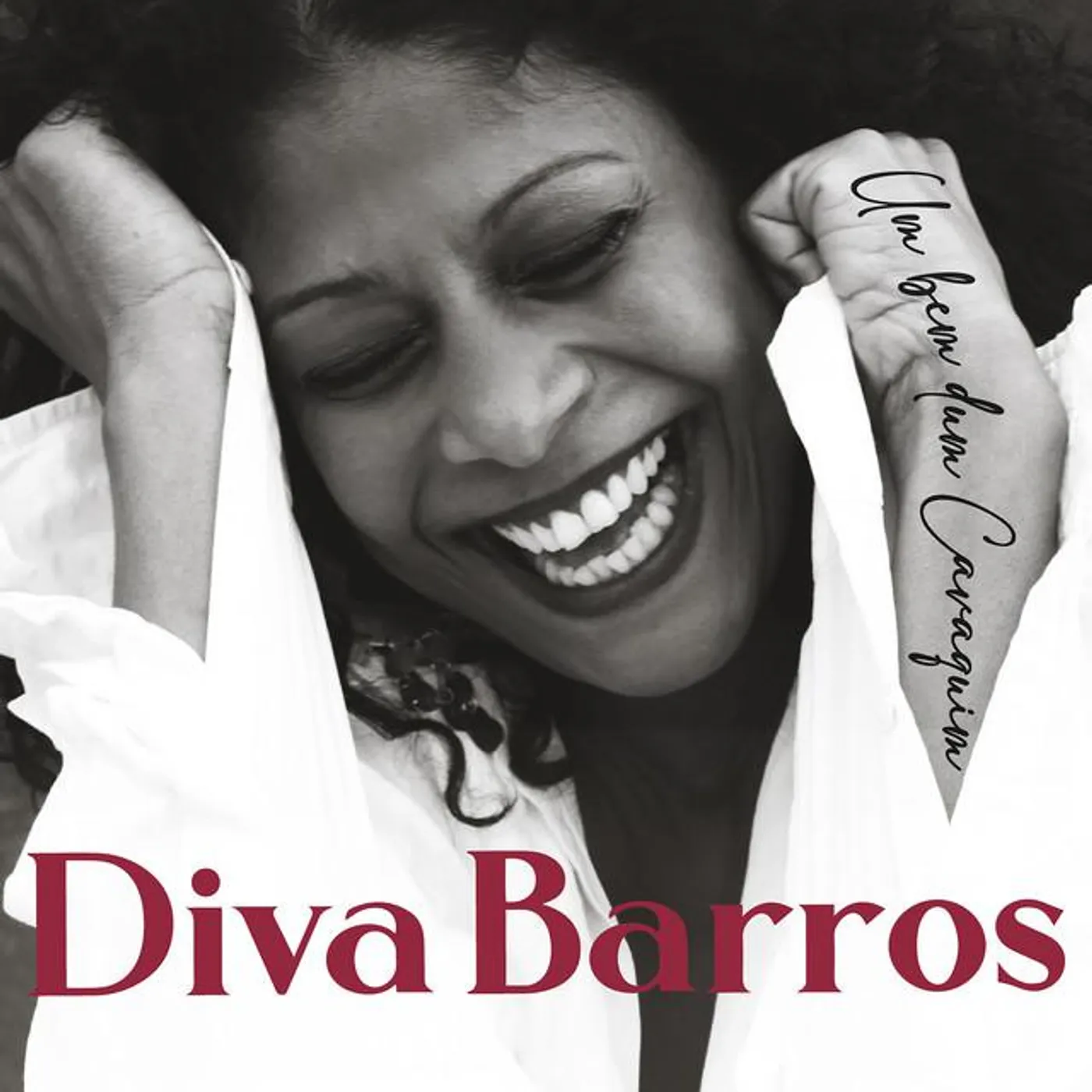 Diva Barros Brand Page