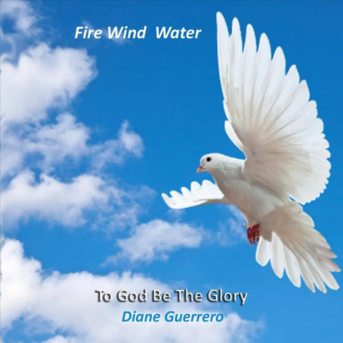 Diane Guerrero Brand Page