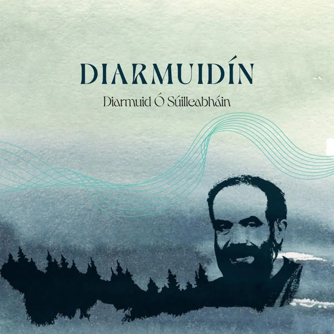 Diarmuid Ó Súilleabháin