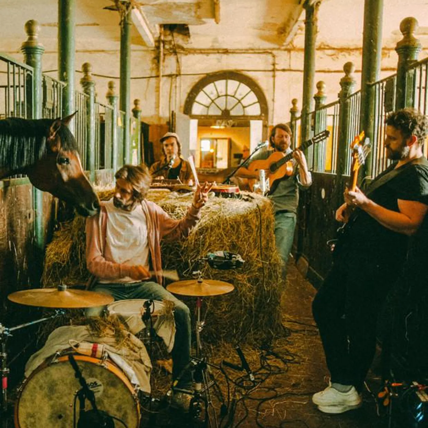 Die Höchste Eisenbahn Brand Page