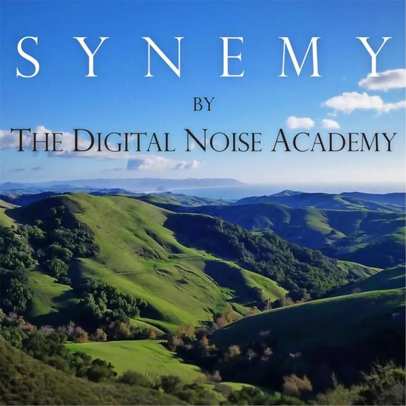 Digital Noise Academy Brand Page