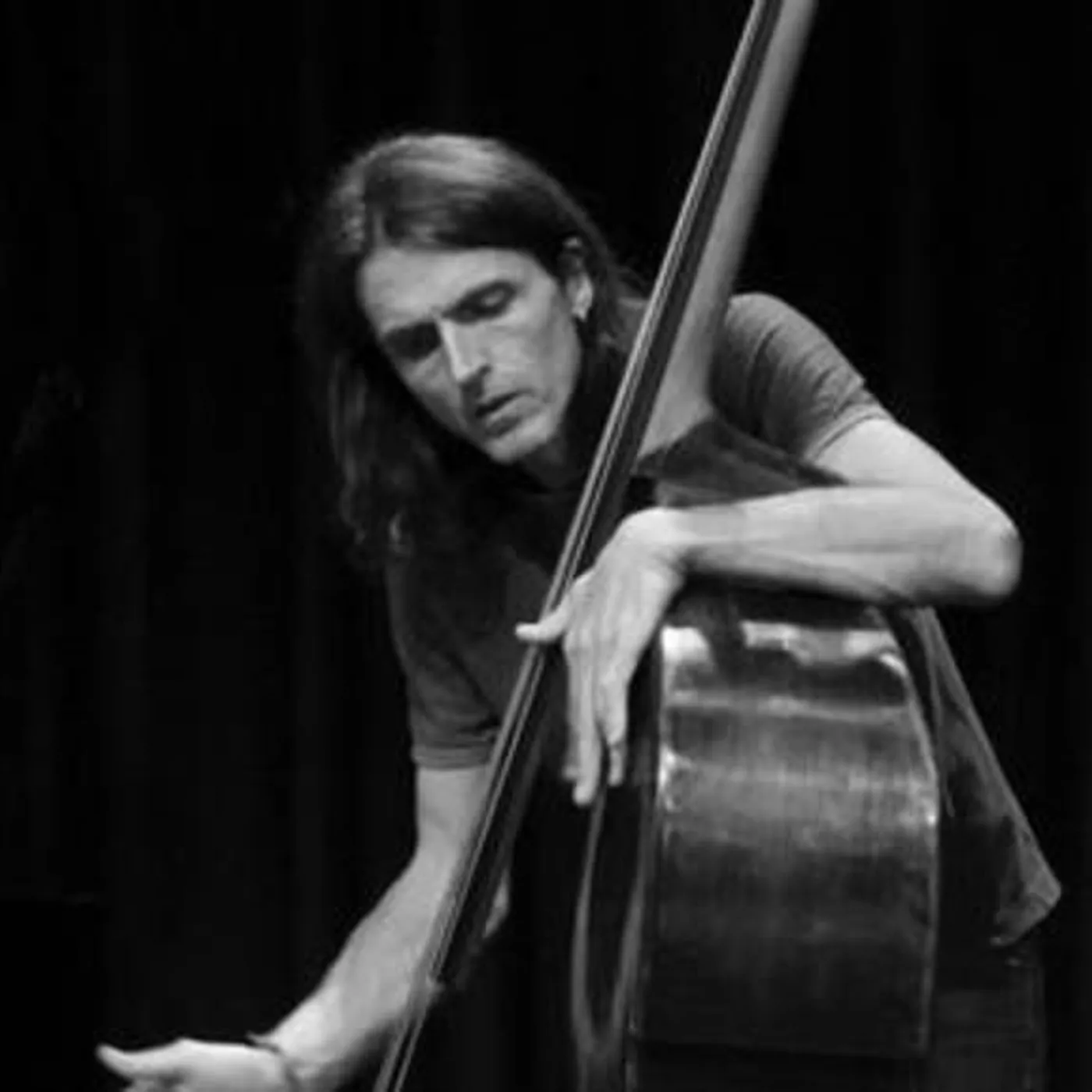 Dine Doneff Brand Page