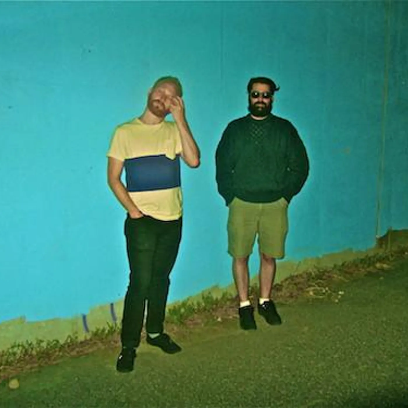 Dinosaur Feathers Brand Page