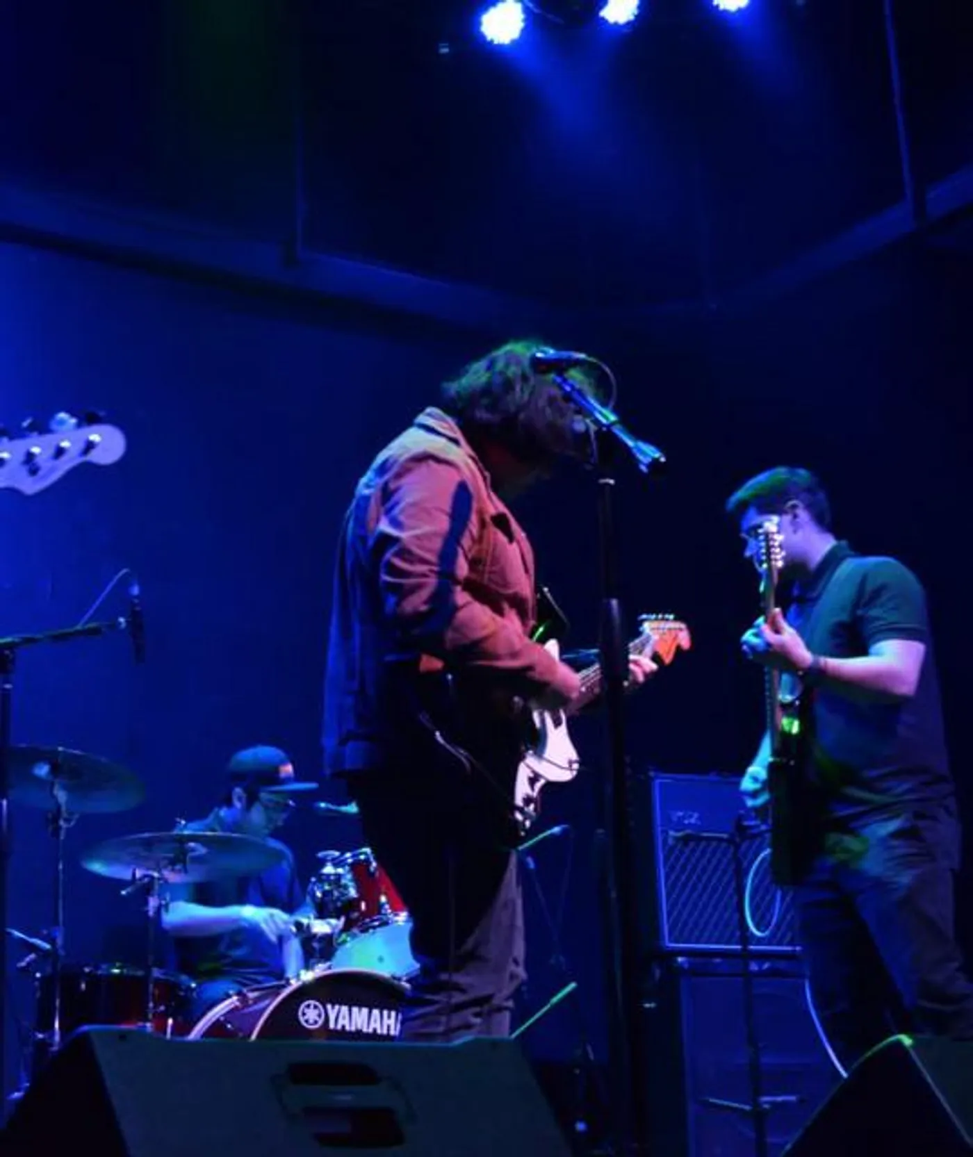 Dinosaurios Surf Club