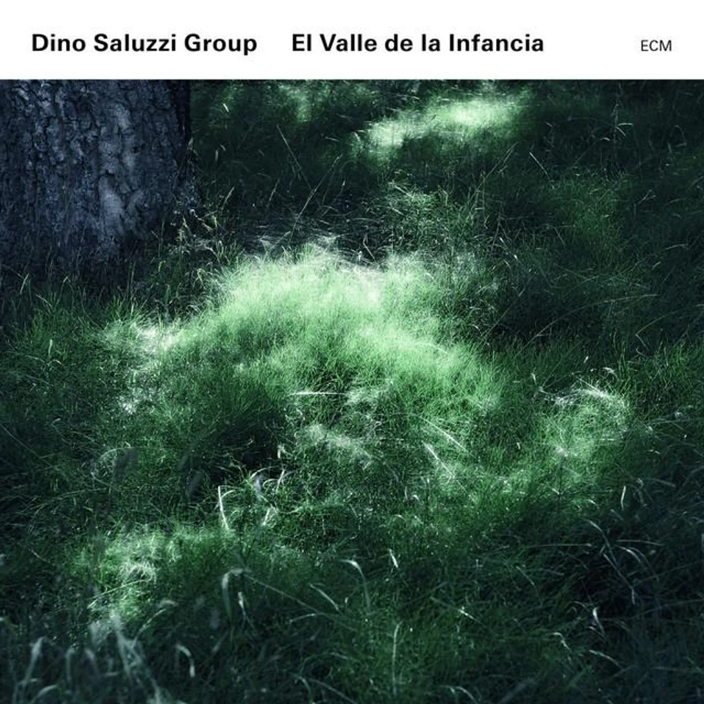 Dino Saluzzi Group