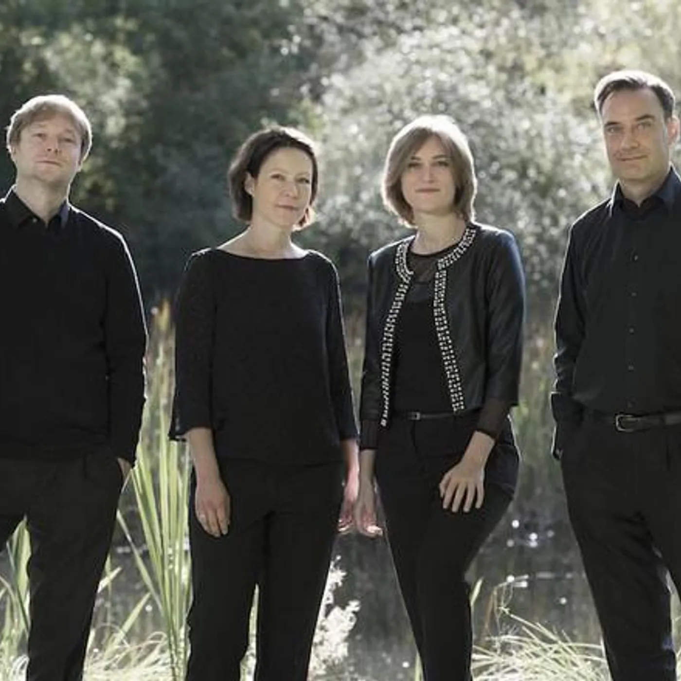 Diogenes Quartet Brand Page