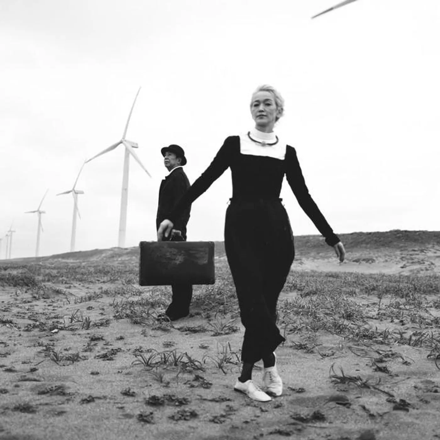 dip in the pool Brand Page