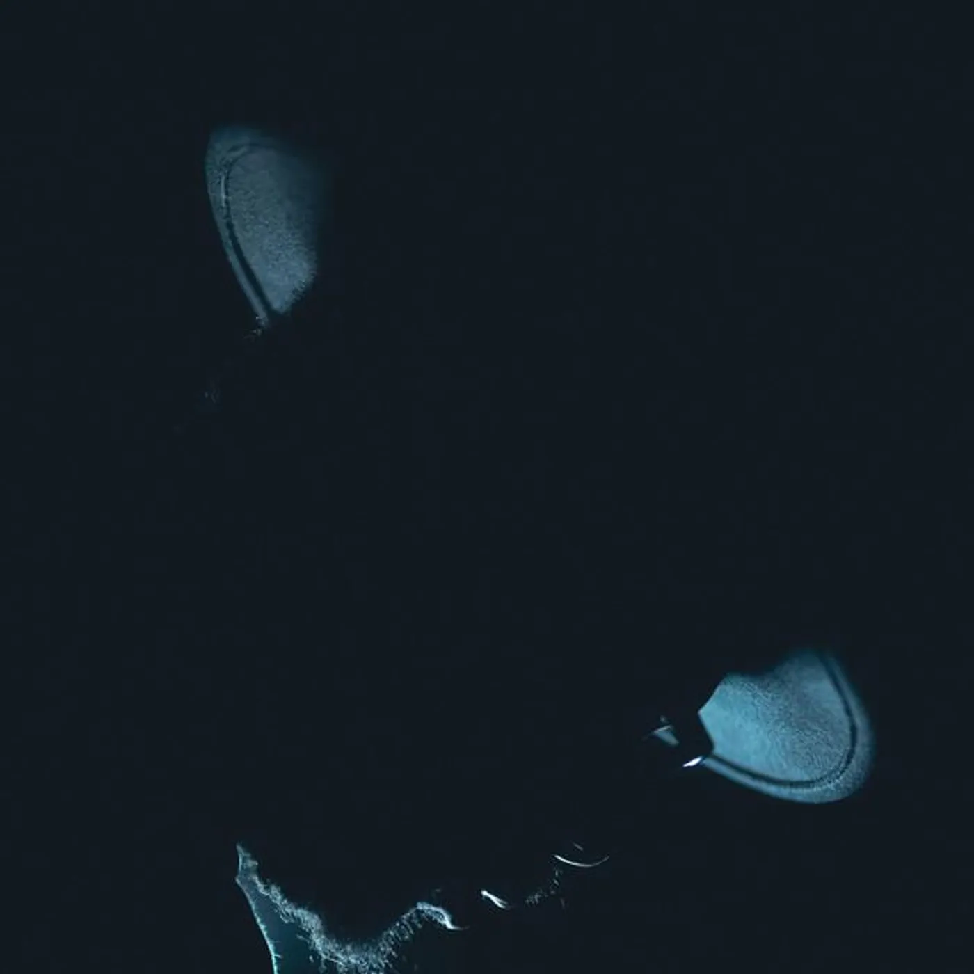 Dirty Jens Brand Page