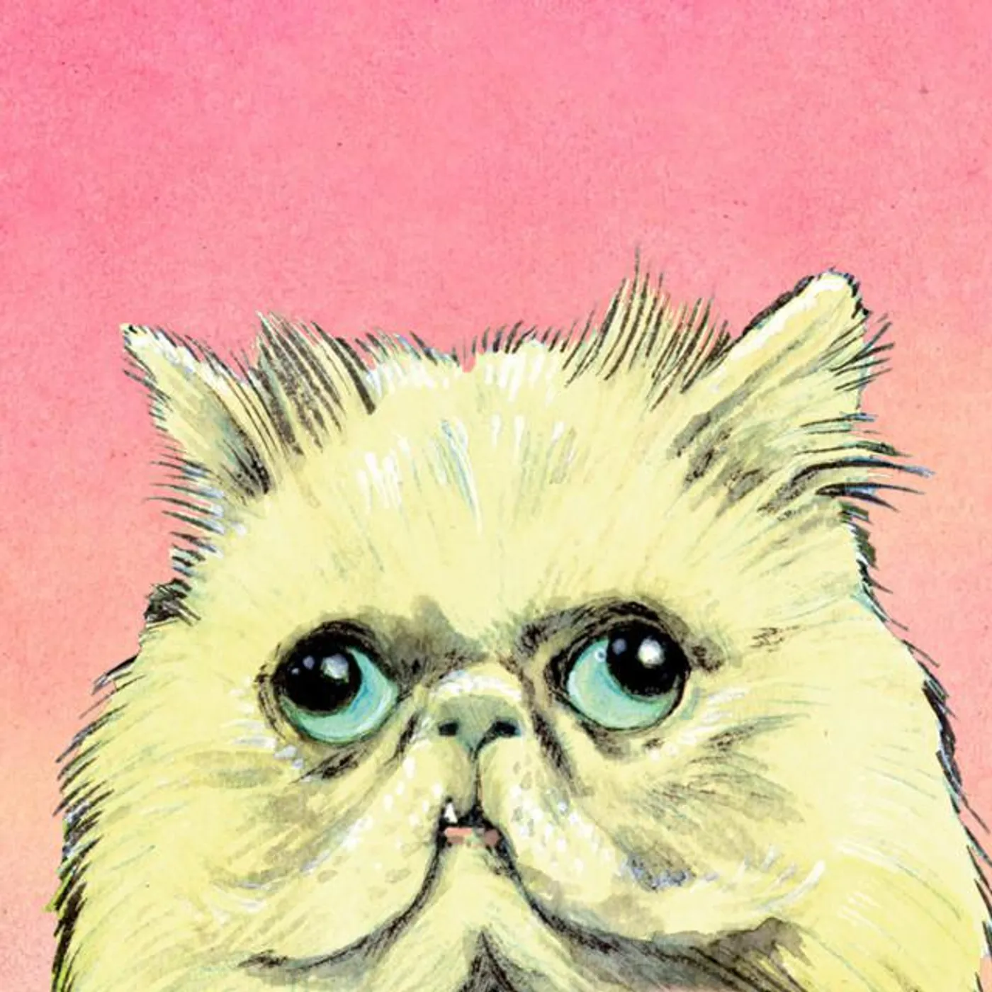 Dirty Zoo Brand Page