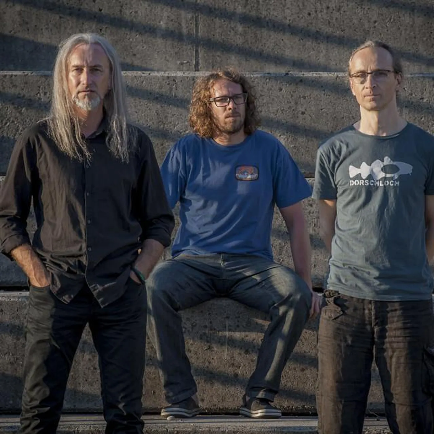 Disharmonic Orchestra Brand Page