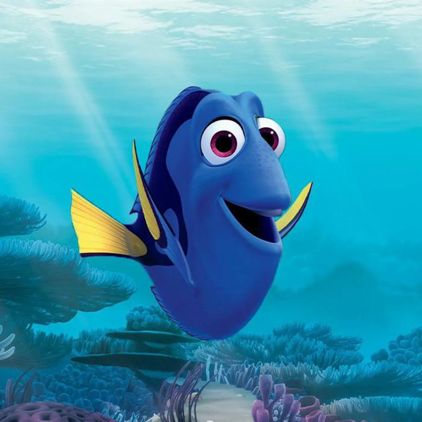 Disney - Findet Dorie