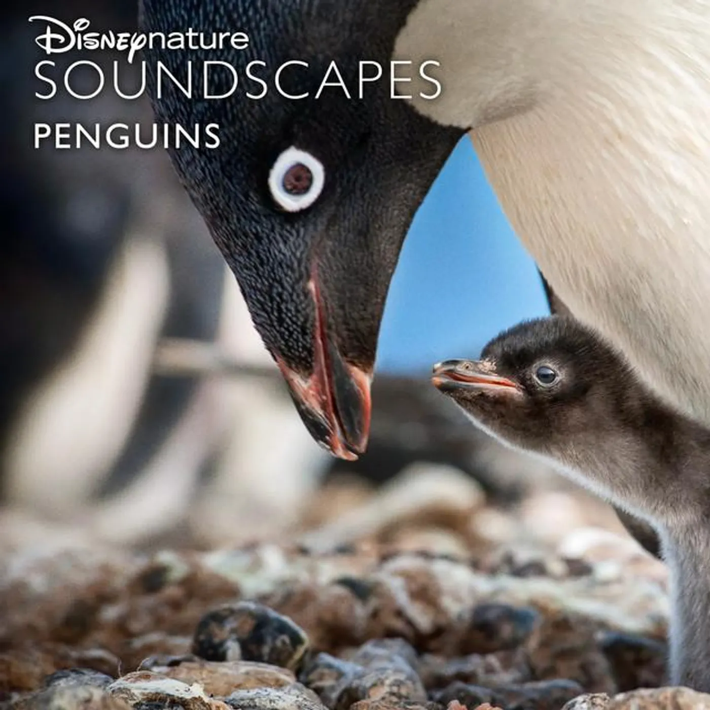 Disneynature Soundscapes Brand Page
