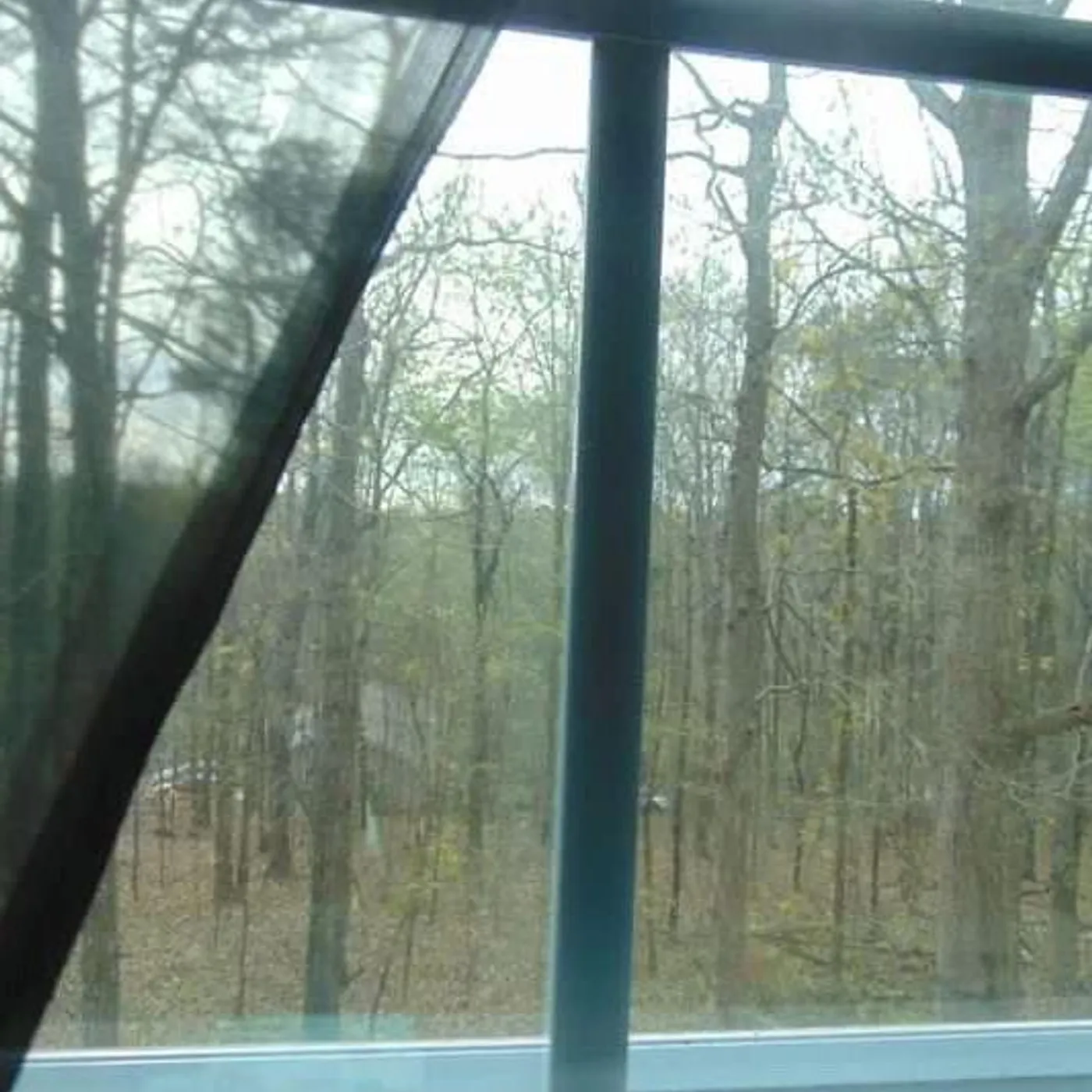 dissonance Brand Page