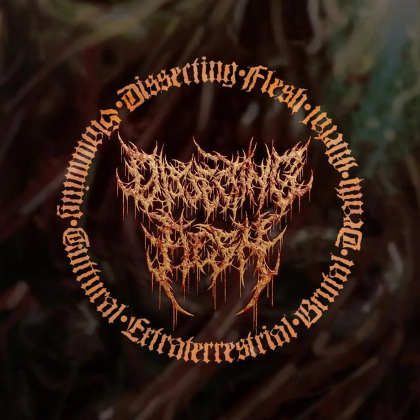 Dissecting Flesh Brand Page