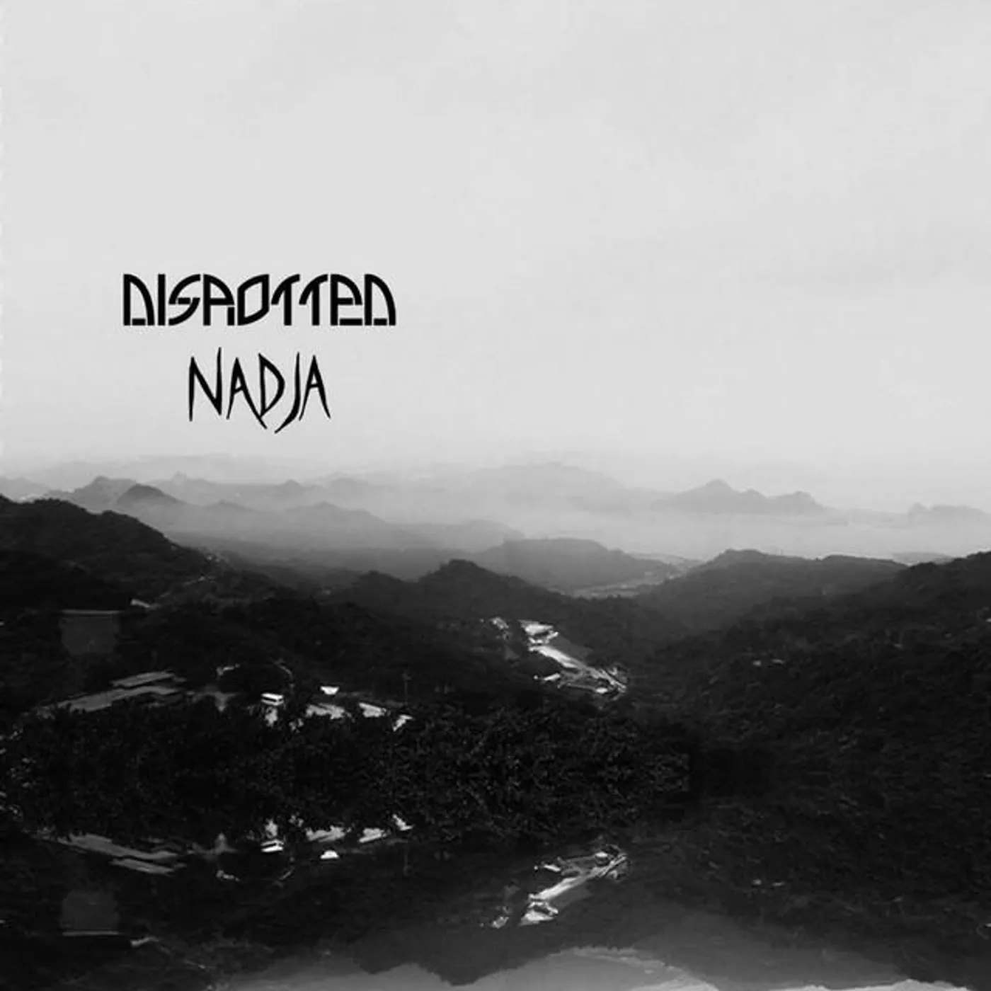 Disrotted Brand Page