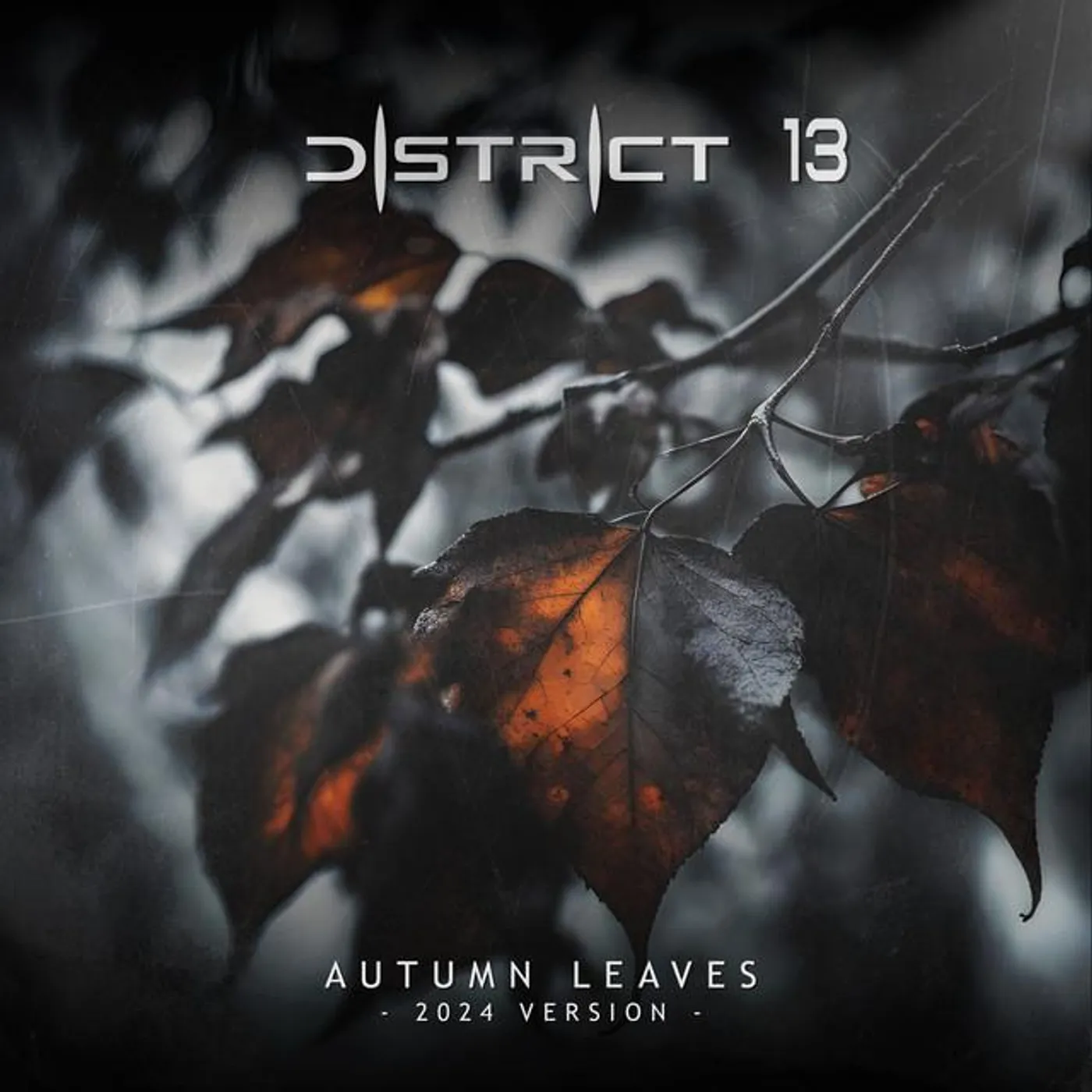 District 13