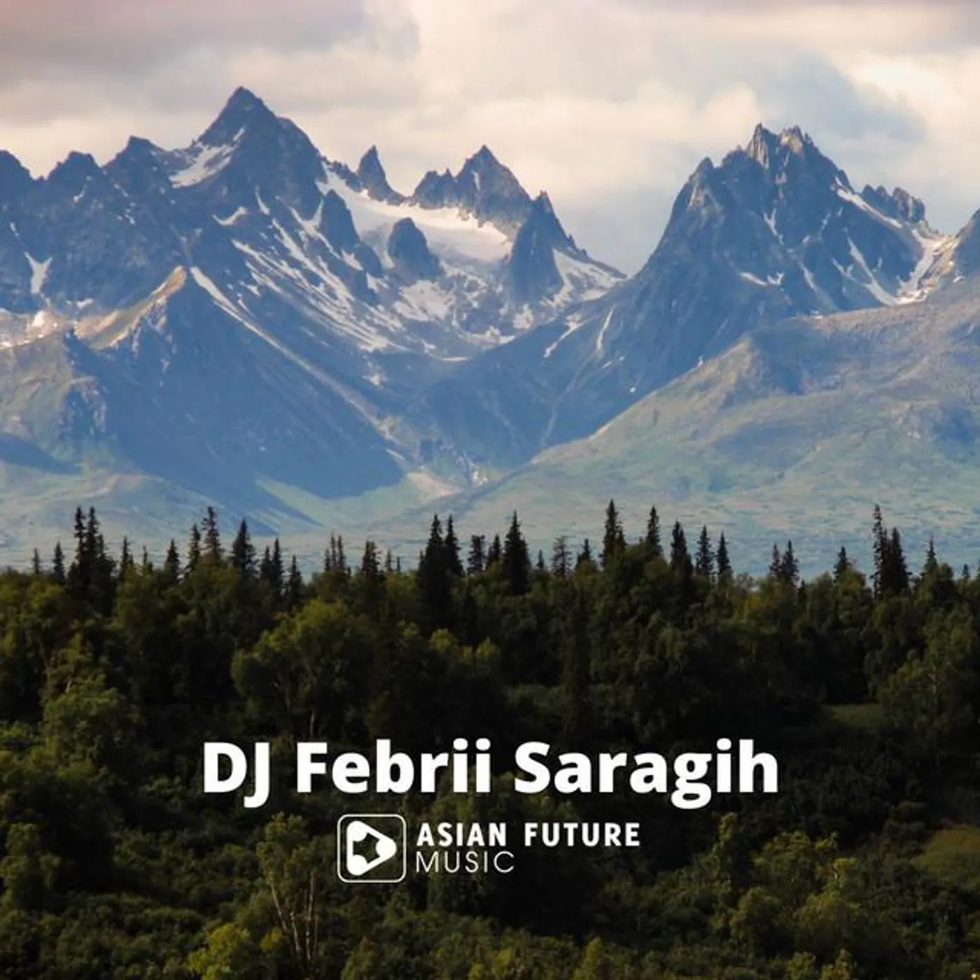 Dj Febrii Saragih