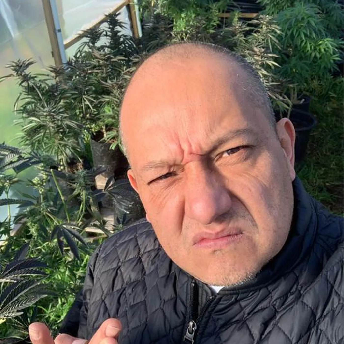 Dj Ignite Brand Page