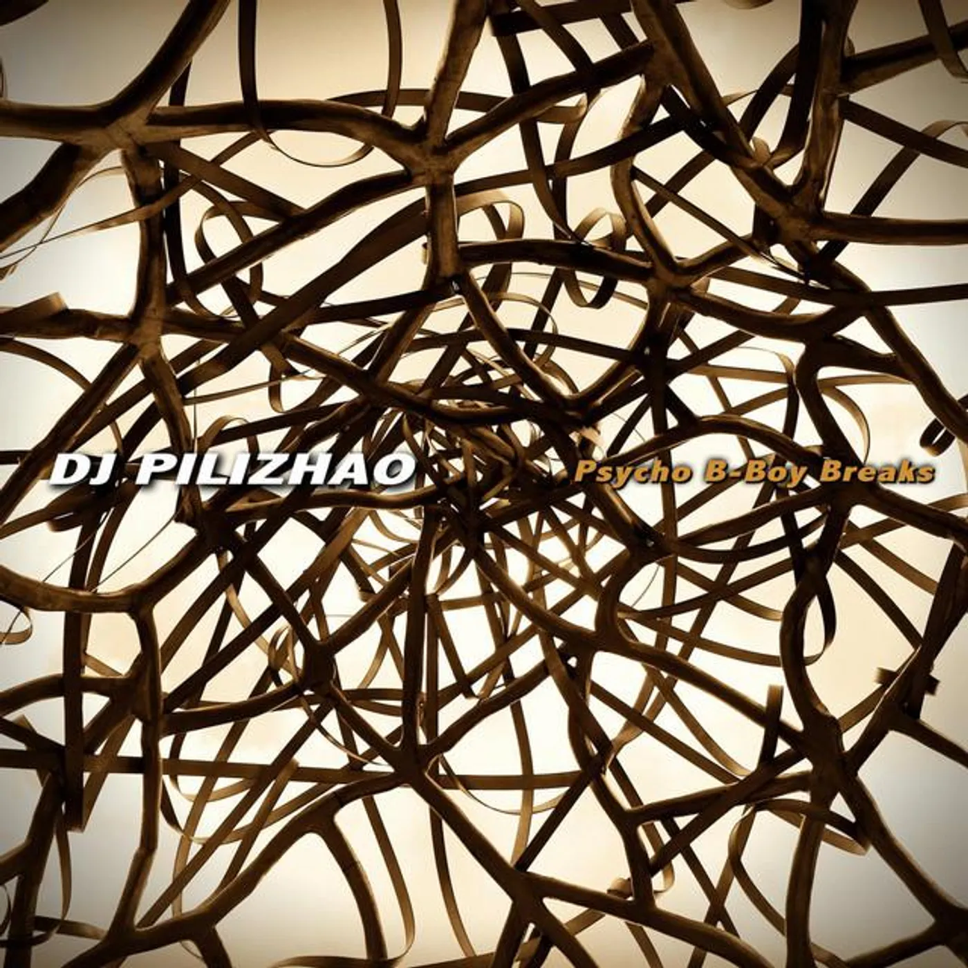 DJ Pilizhao Brand Page