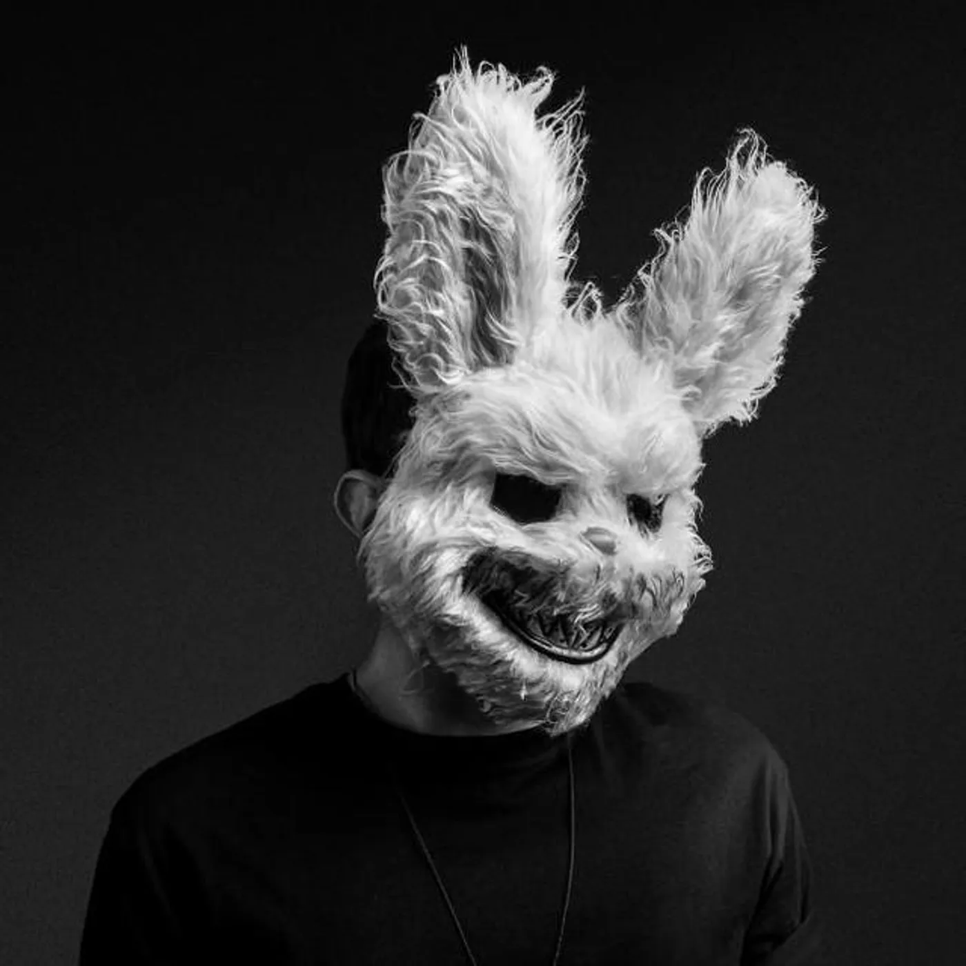 DJ Rabbit