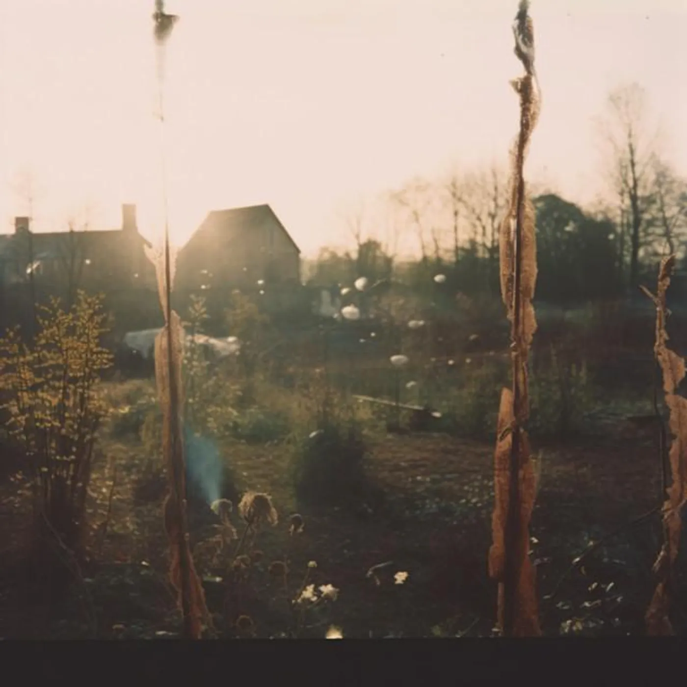 Dj Whitesmith Brand Page