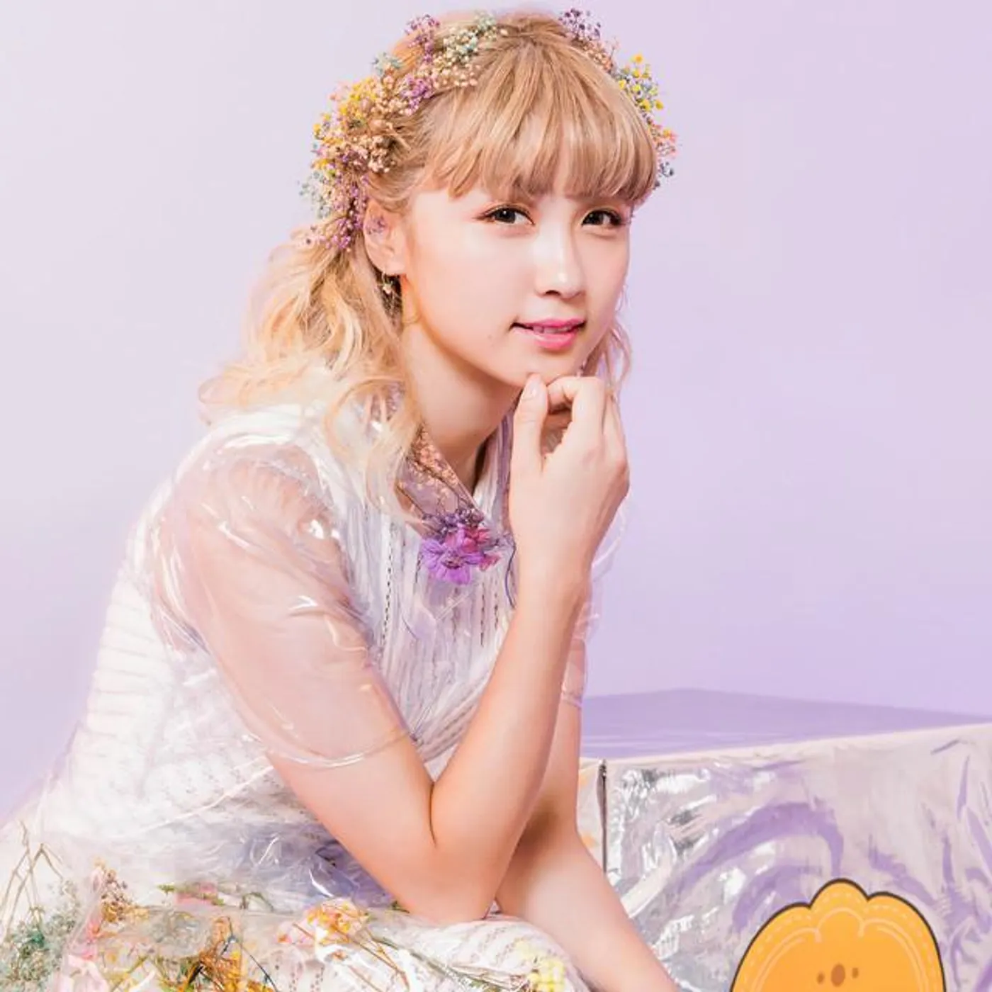 Dream Ami Brand Page