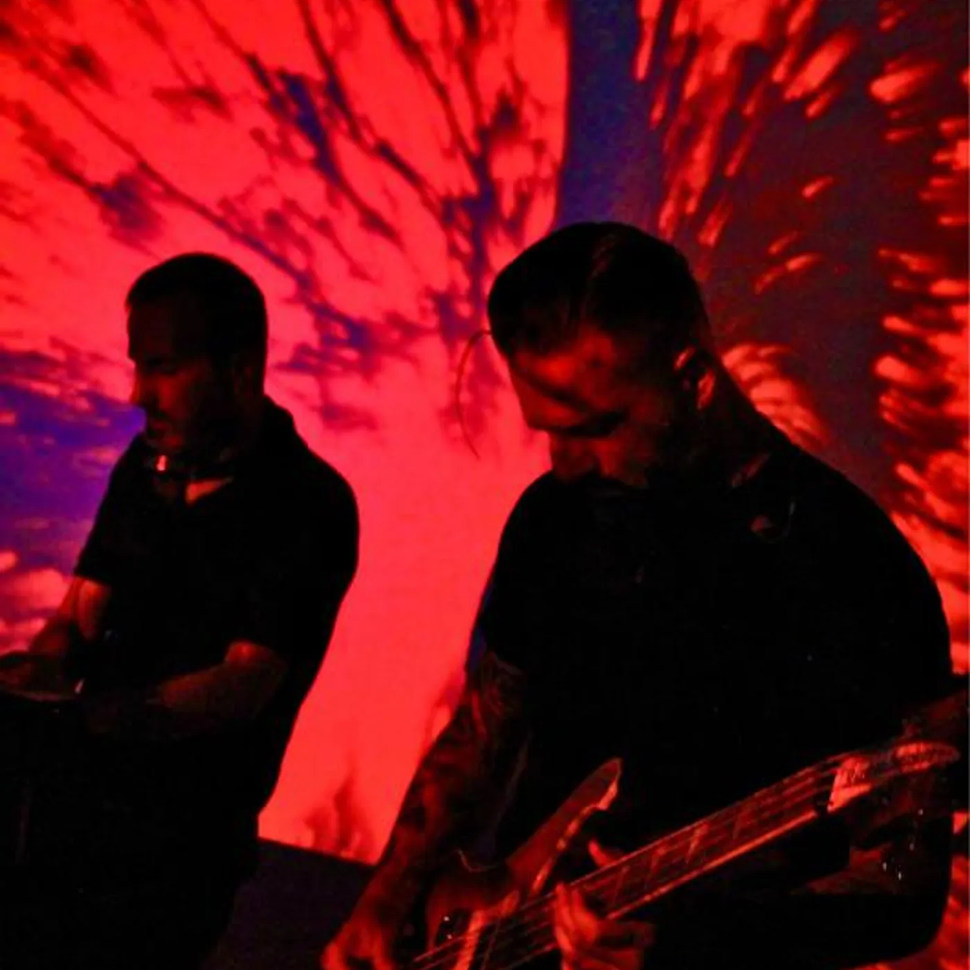 Dressel Amorosi Brand Page