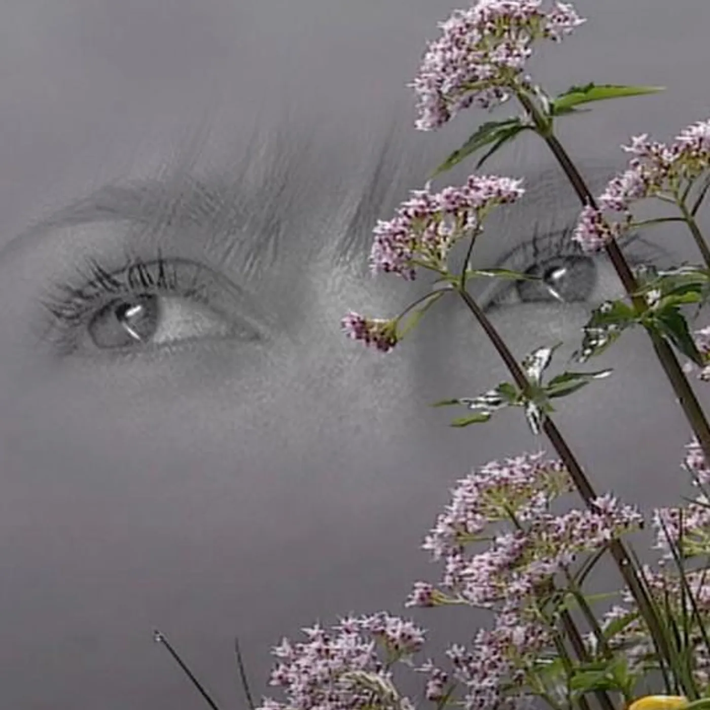 Drew The Architect Brand Page