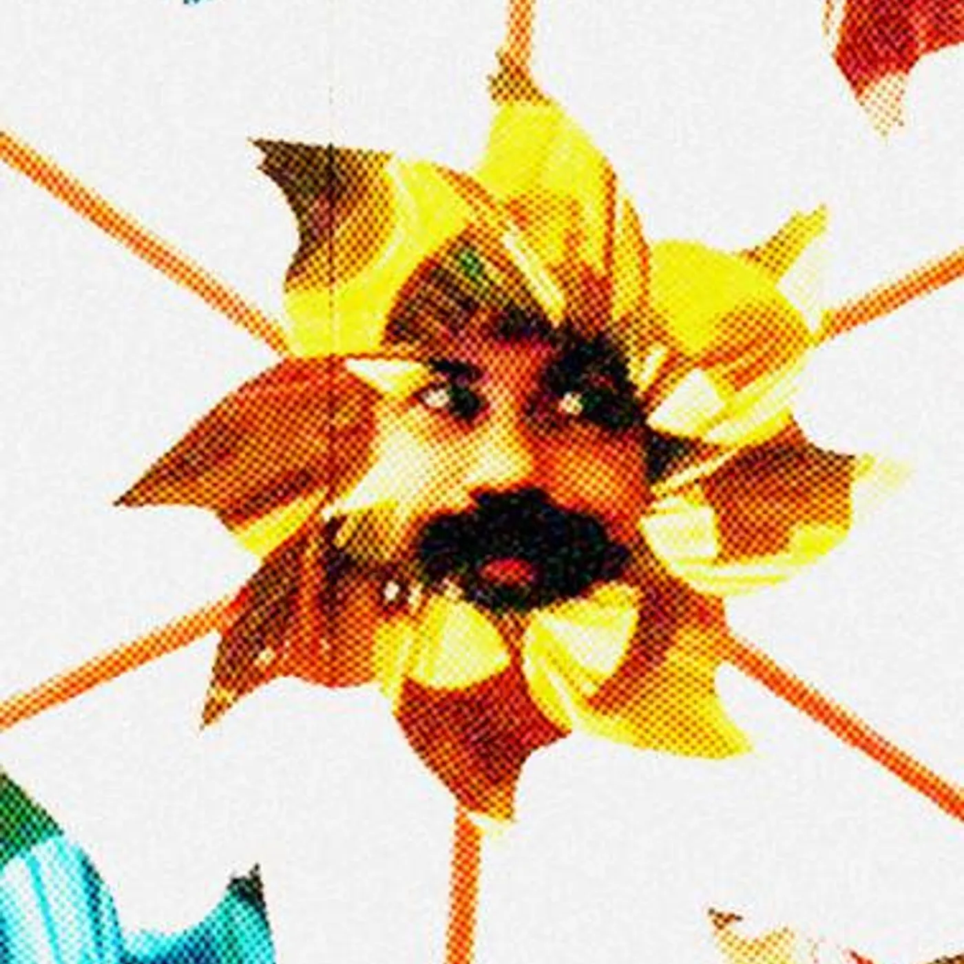 Drew Makes Noise Brand Page