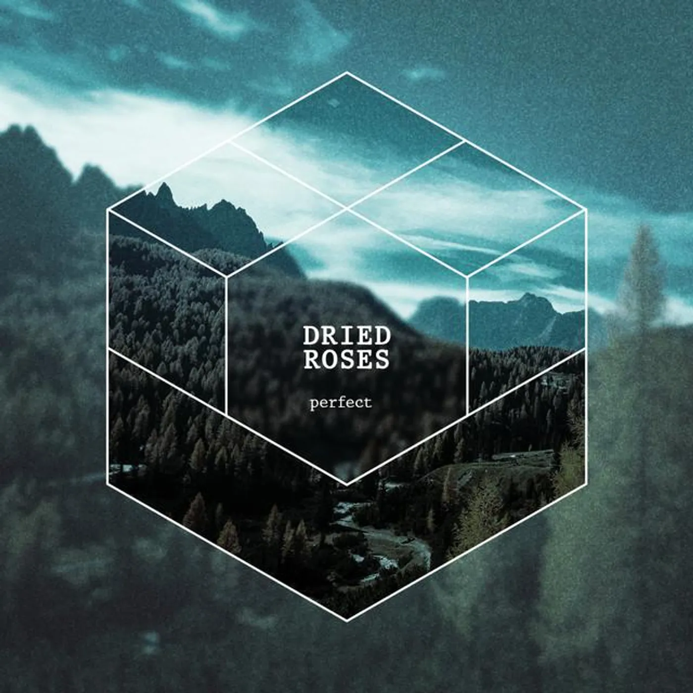 Dried Roses Brand Page