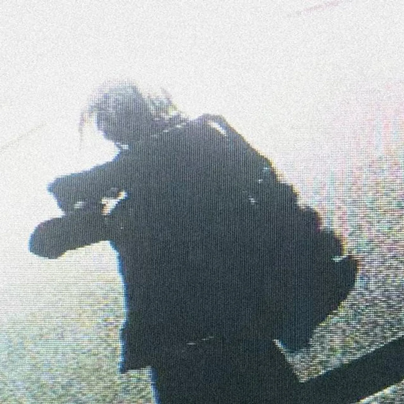 Dries Bormans Brand Page