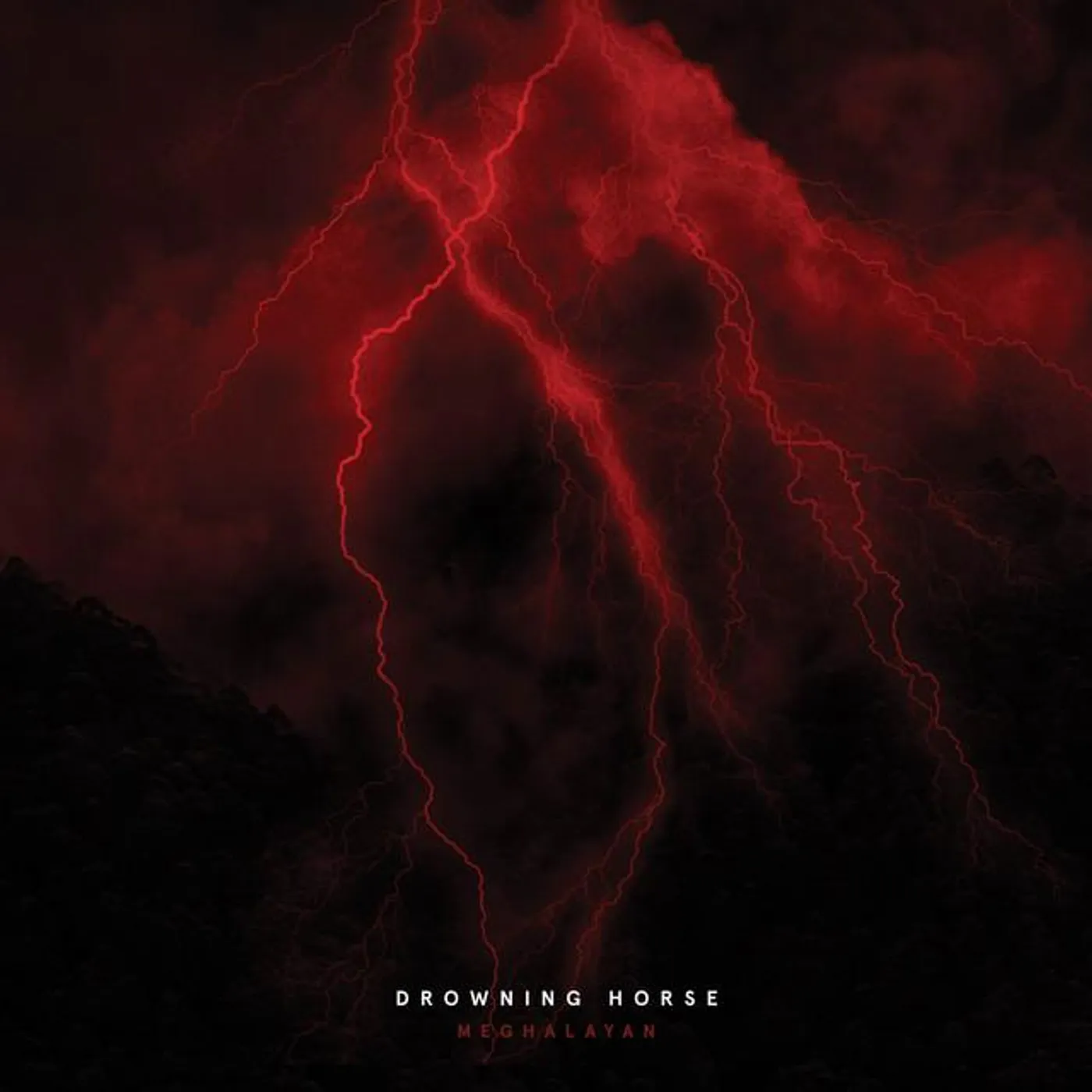 Drowning Horse Brand Page