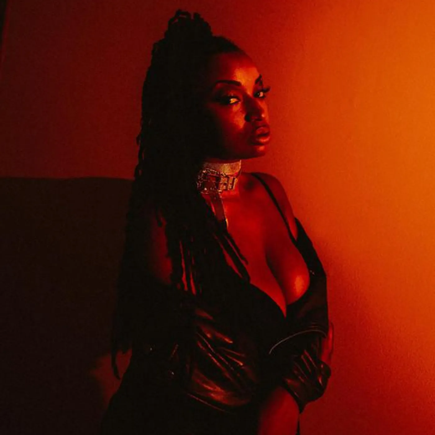 Dutch Rebelle Brand Page