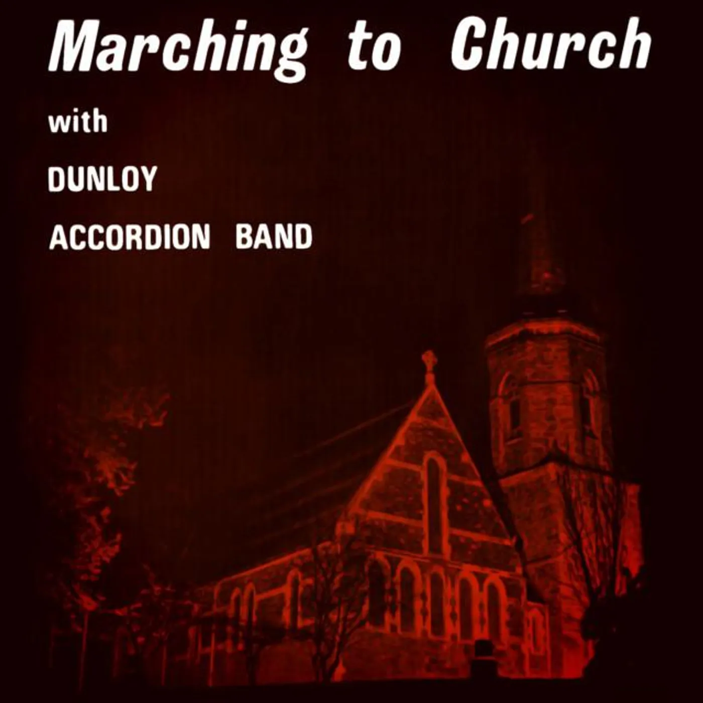Dunloy Accordion Band