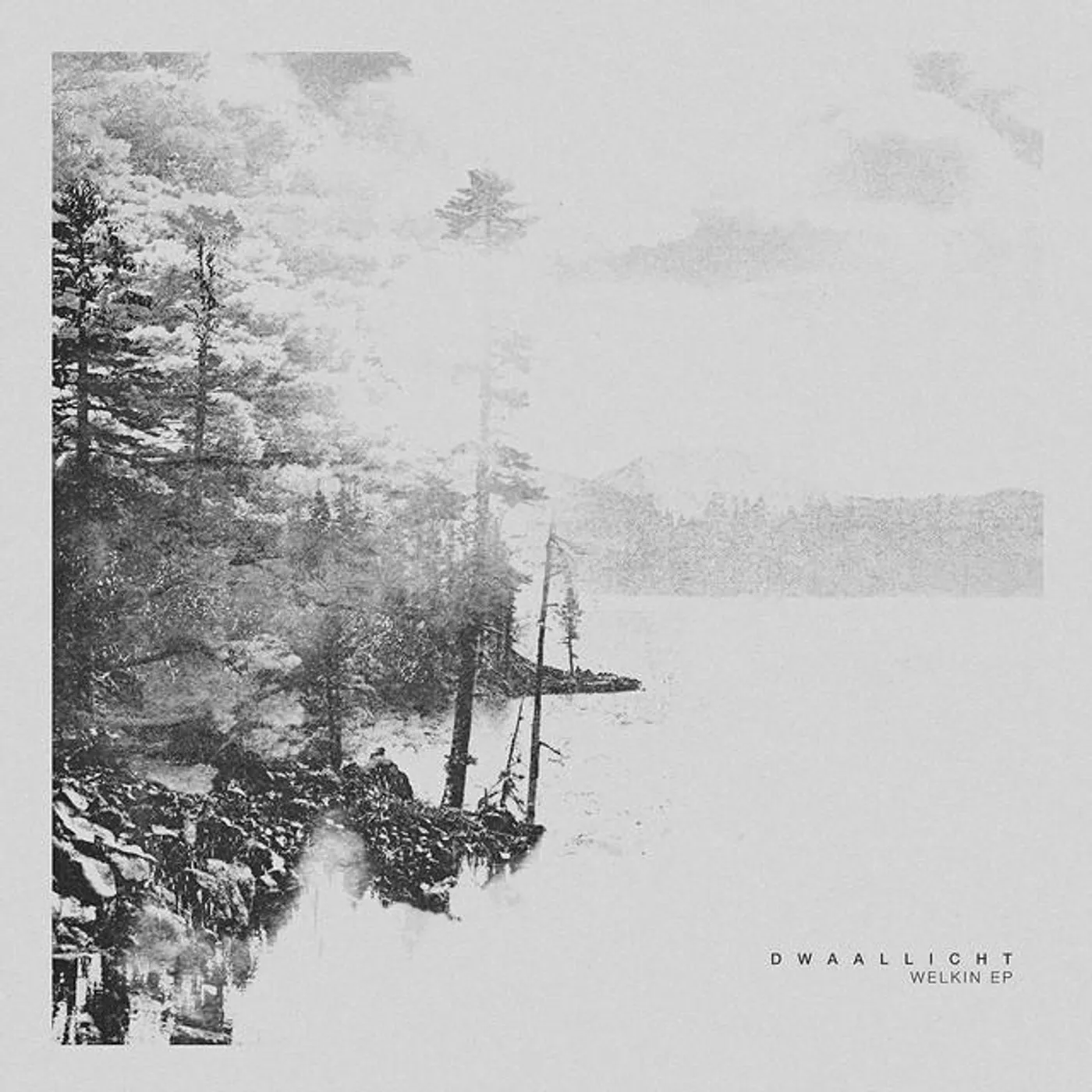 Dwaallicht Brand Page