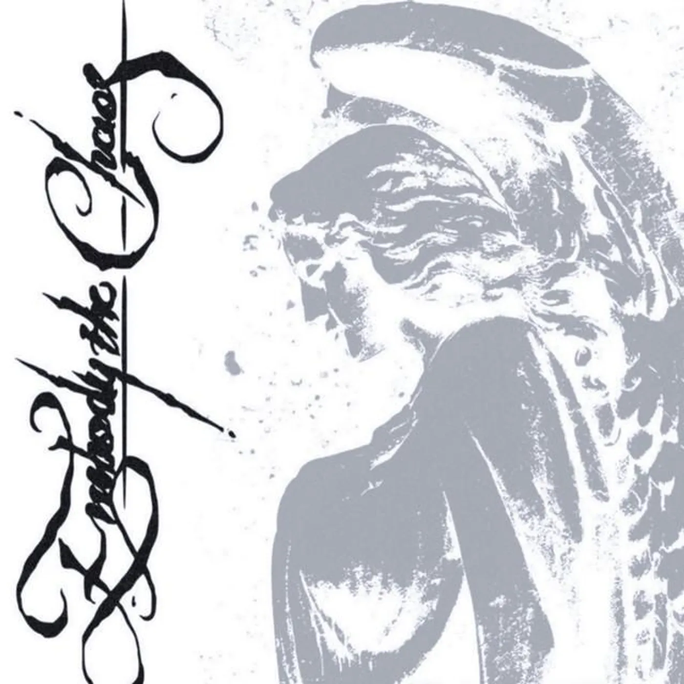 Embody The Chaos Brand Page