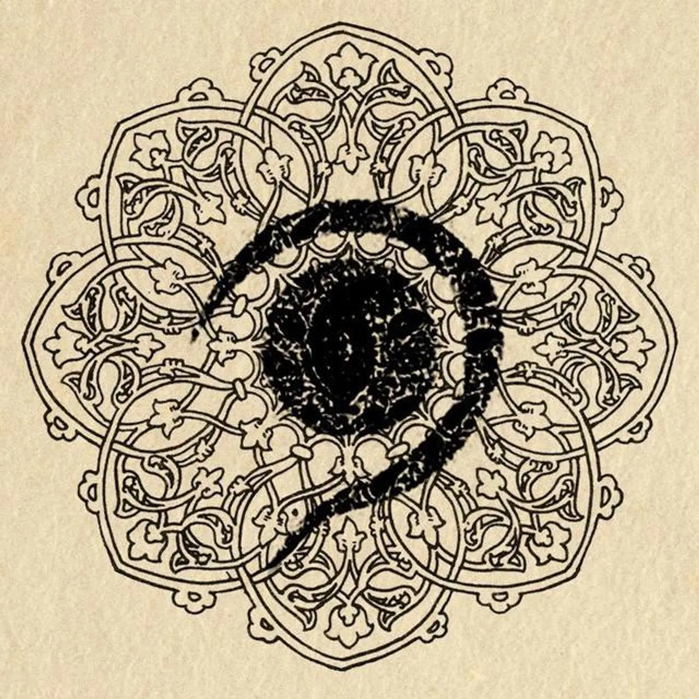 Empty Yard Experiment