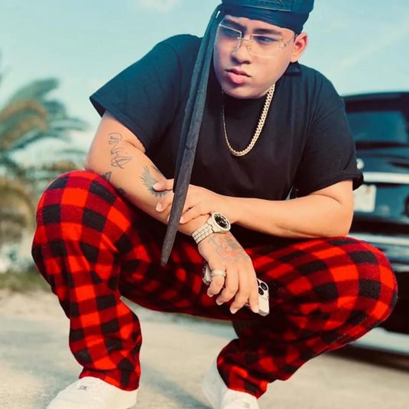 Enzo La Melodia Secreta