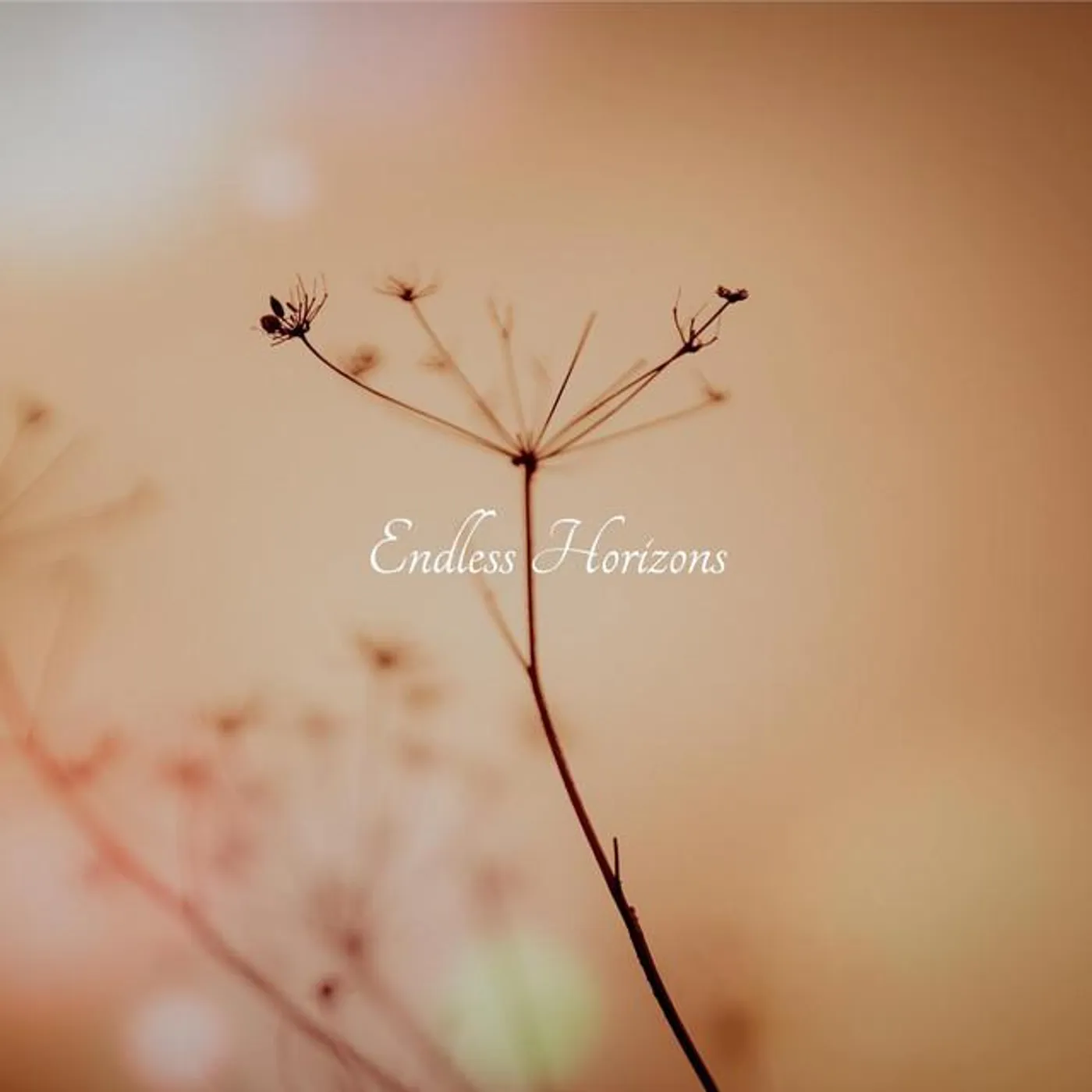 Endless Horizons Brand Page