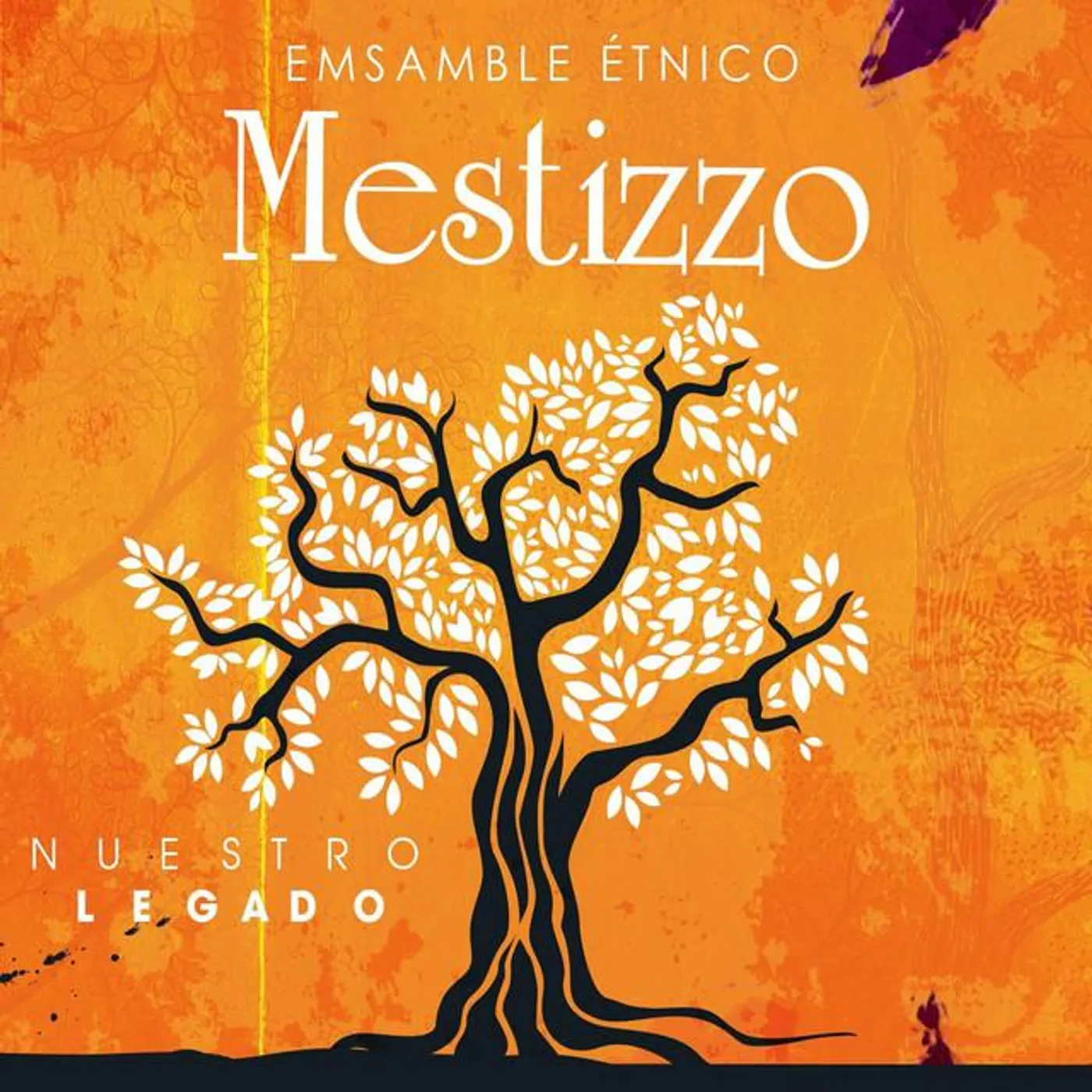 Ensamble Étnico Mestizzo