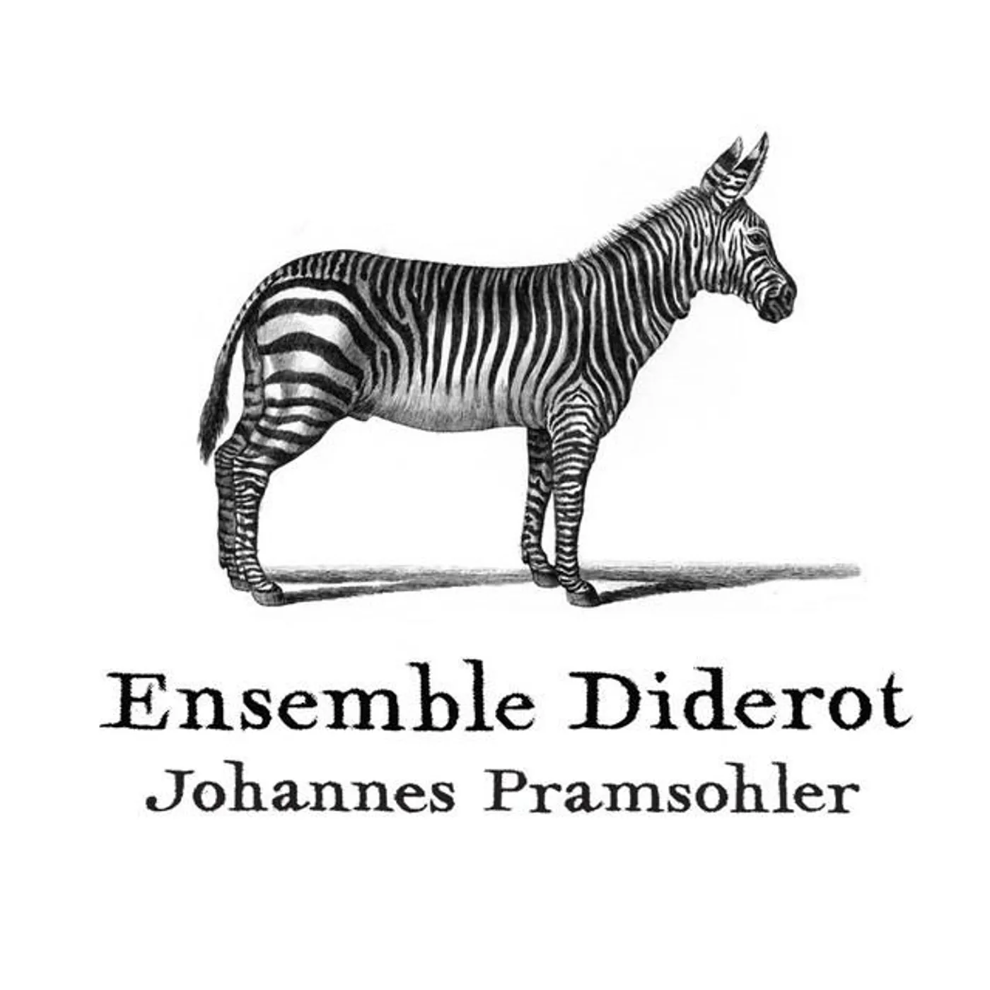 Ensemble Diderot Brand Page