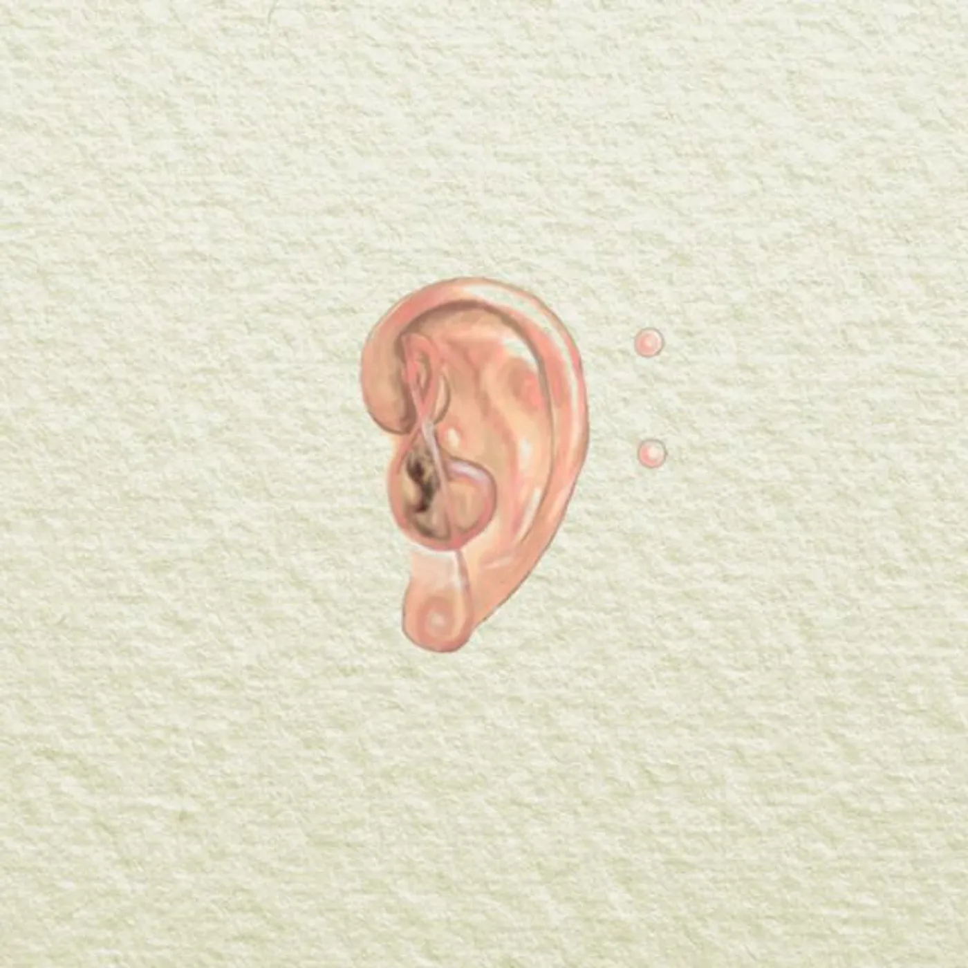 Ear Theory
