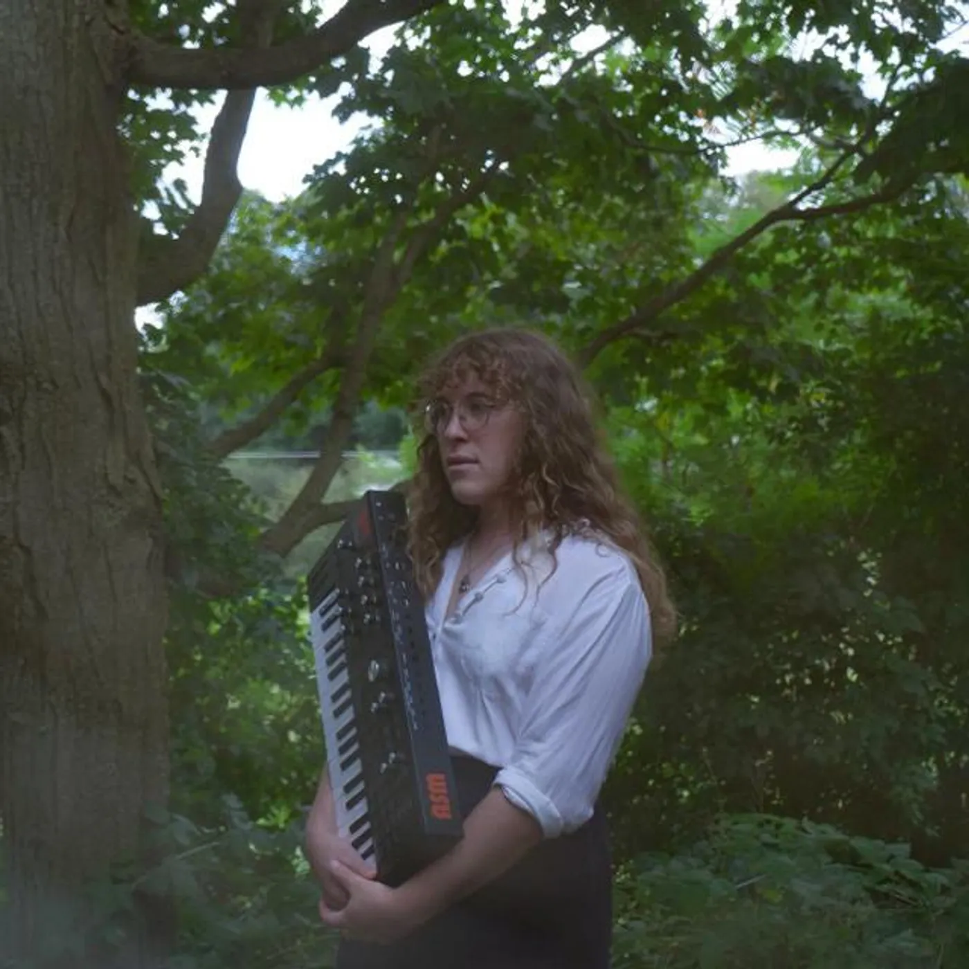 Early Fern Brand Page