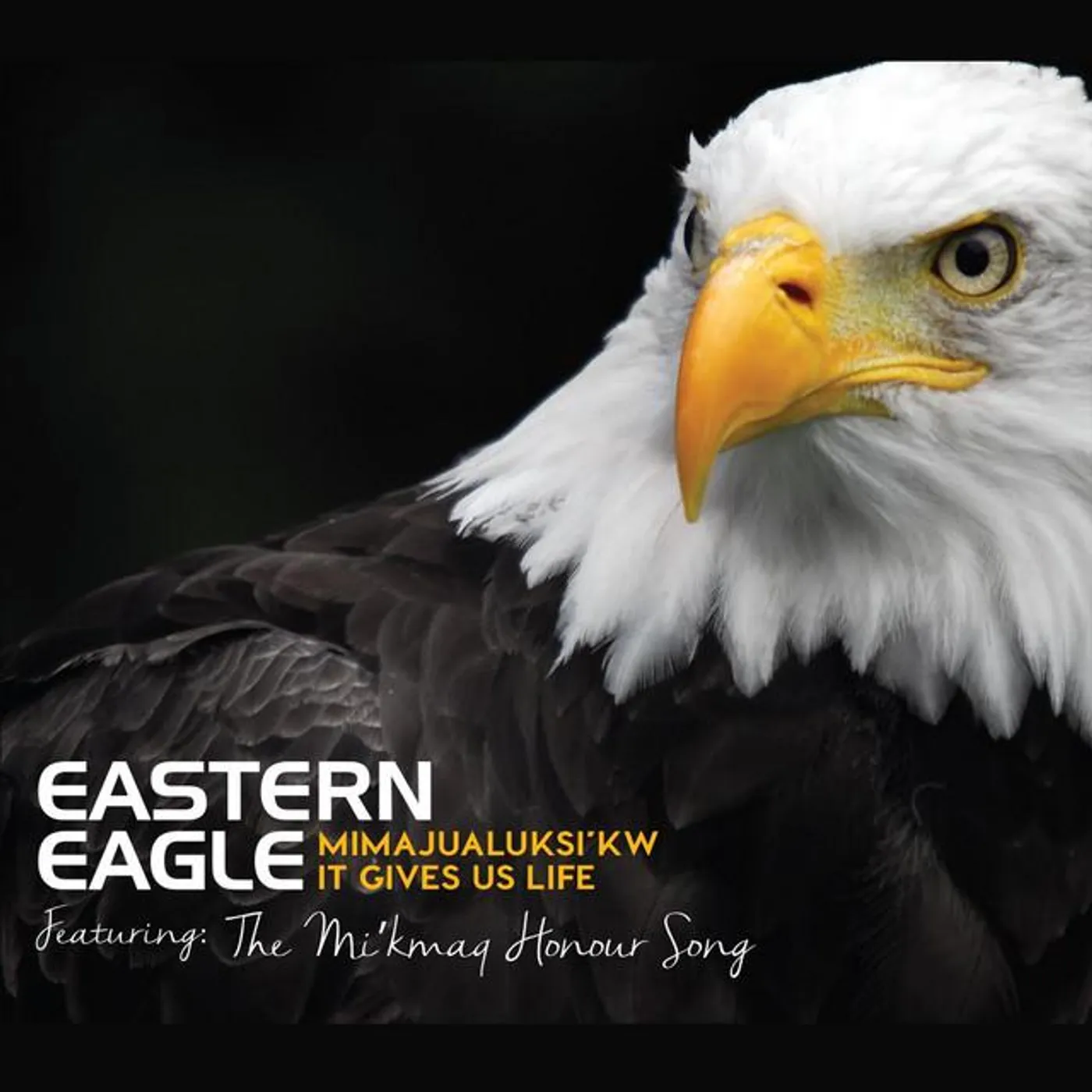 Eastern Eagle