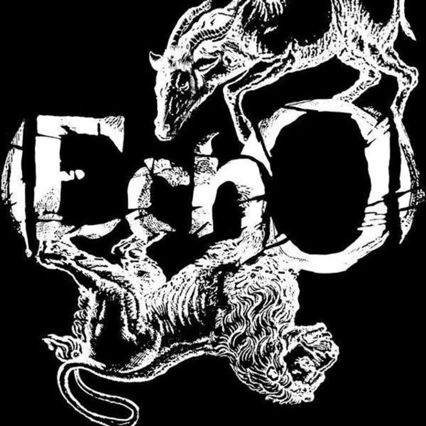 (EchO)