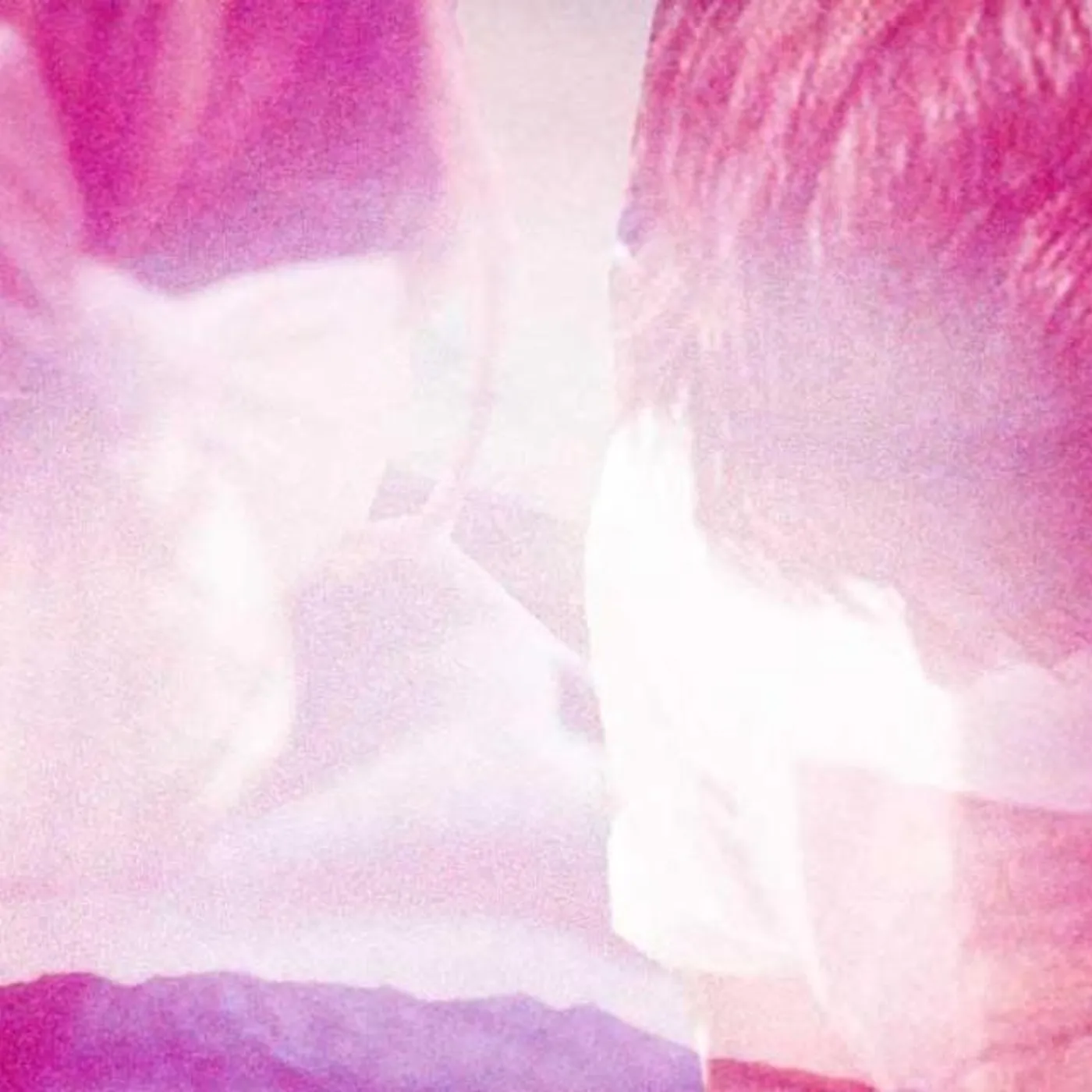 Echo Lake Brand Page