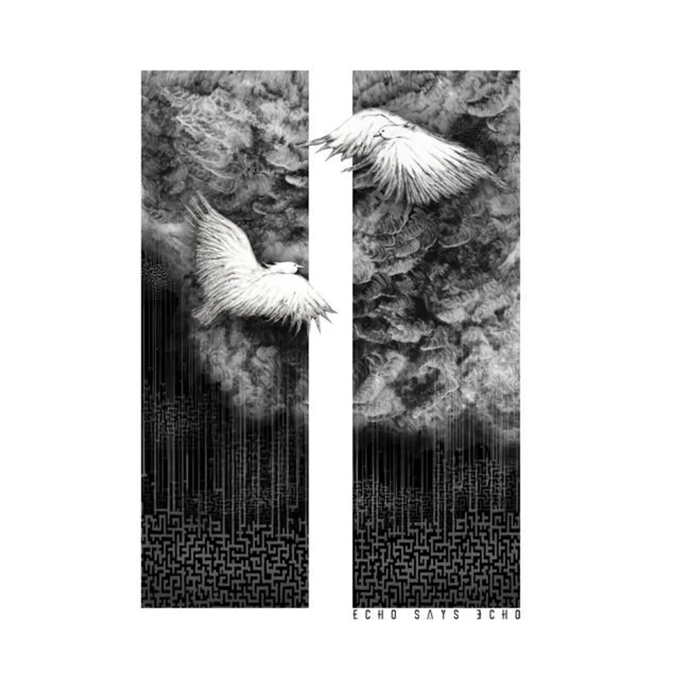 Echo Says Echo Brand Page