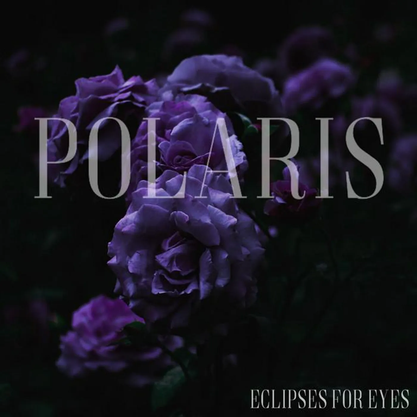 Eclipses for Eyes Brand Page