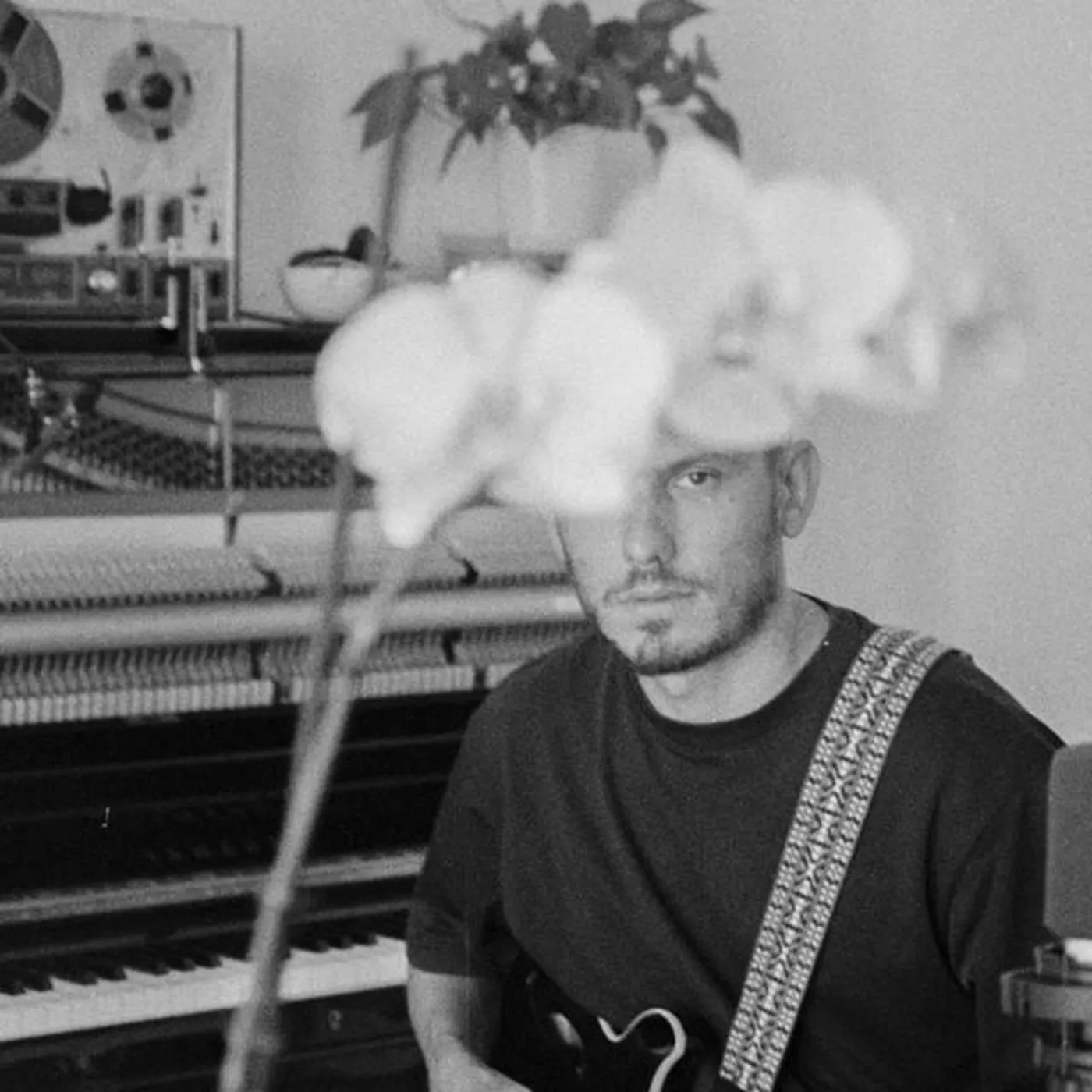 Ed Carlsen Brand Page